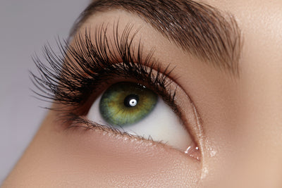 The Importance of Lash Health